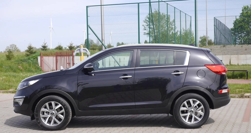 Kia Sportage cena 48900 przebieg: 117000, rok produkcji 2015 z Starachowice małe 781